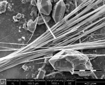 Amphibole asbestos, tremolite in plaster - standard resolution: 654 X 522 px / file size approx. 0,35 MB | © CRB Analyse Service GmbH