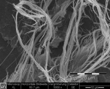 Chrysotile asbestos in brown-black bituminous glues - standard resolution: 654 X 522 px / file size approx. 0,35 MB | © CRB Analyse Service GmbH