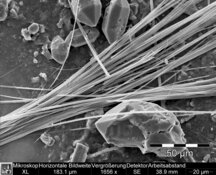Amphibole asbestos, tremolite in plaster - high HD-resolution: 3872 x 2904 px / file size approx. 10,7 MB | © CRB Analyse Service GmbH