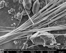 Amphibole asbestos, tremolite in plaster - intermediate HD-resolution: 3232 x 2420 px / file size approx. 7,5 MB | © CRB Analyse Service GmbH