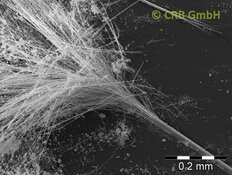 Splicing of a fiber bundle of amphibole asbestos, amosite | © CRB Analyse Service GmbH