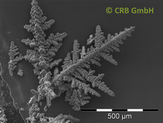 Dendrites from iron-manganese oxides | © CRB Analyse Service GmbH