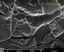 Corrosion of a steel sheet | © CRB Analyse Service GmbH