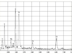 EDX-spectrum of amphibole asbestos, actinolite in plasters, trowlled on materials and paints | © CRB Analyse Service GmbH