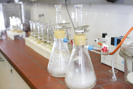 CRB GmbH | Sample preparation of asphalt for asbestos analysis 2 | © CRB Analyse Service GmbH